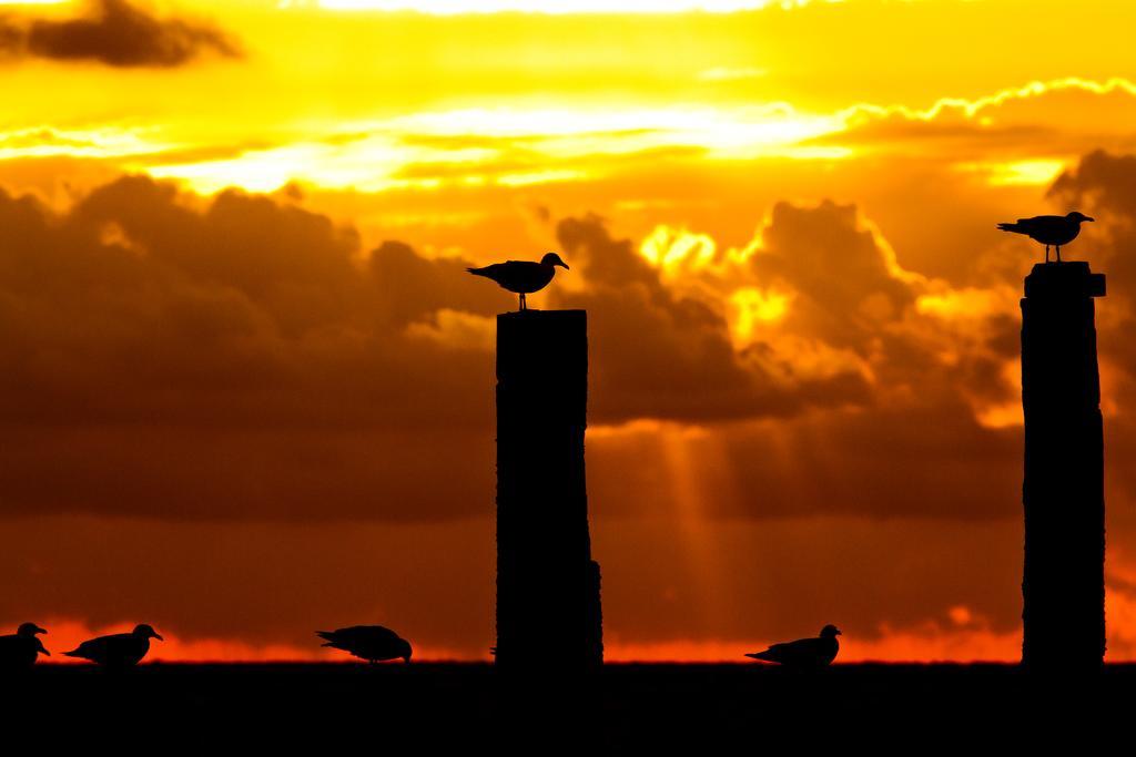 Hotel Pannenkoekhuis Vierwegen Domburg Zewnętrze zdjęcie